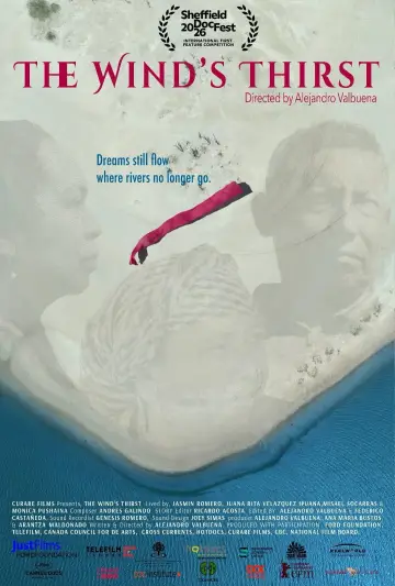 Poster to the movie "The Wind