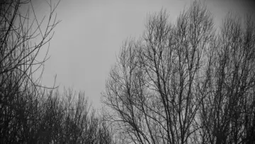Backdrop to the movie "In Winter" #826403
