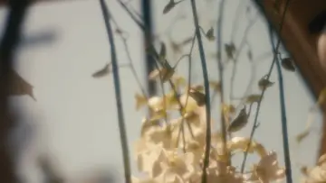 Backdrop to the movie "Wedding Flowers" #977412