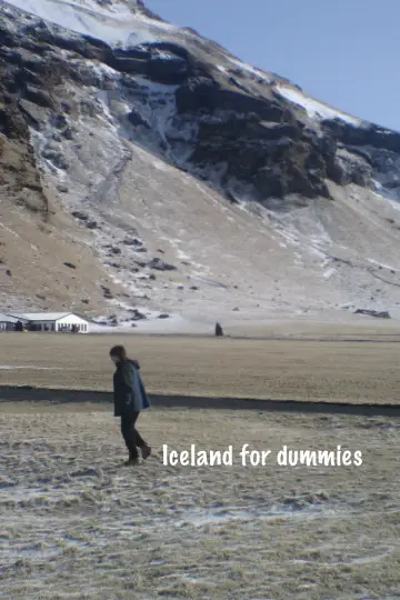 Poster to the movie "Iceland for Dummies" #822916