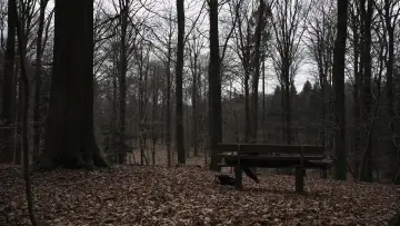 Backdrop to the movie "Interitus" #823695