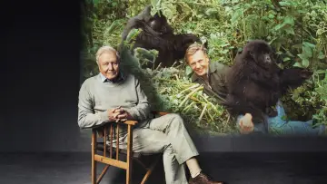 Backdrop to the movie "Making Life on Earth: Attenborough’s Greatest Adventure" #819577