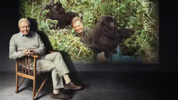 Backdrop to the movie "Making Life on Earth: Attenborough’s Greatest Adventure" #916408