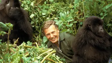 Backdrop to the movie "Making Life on Earth: Attenborough’s Greatest Adventure" #916412