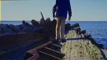 Backdrop to the movie "The Terror of the Gulls" #1143266