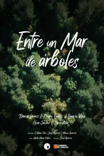 Entre un mar de árboles