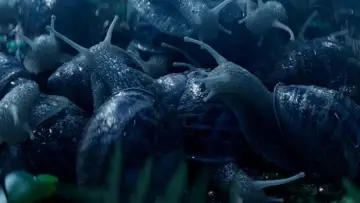 Backdrop to the movie "The Left Hand Snail" #1143273
