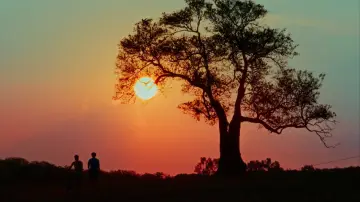 Backdrop to the movie "Terrestrial Stars" #838025