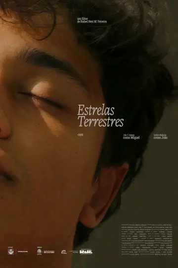 Poster to the movie "Terrestrial Stars" #838032