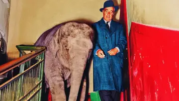 Backdrop to the movie "Vittorio De Sica – La Vie in Scene" #928529