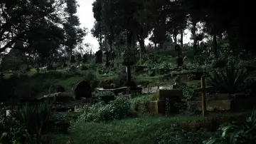 Backdrop to the movie "After the Covenant" #825862