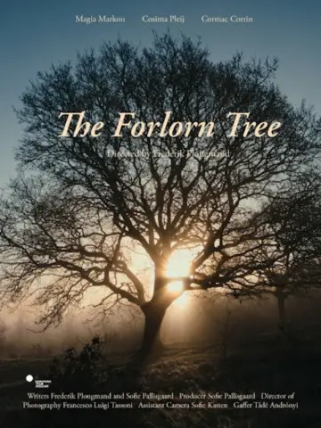 The Forlorn Tree