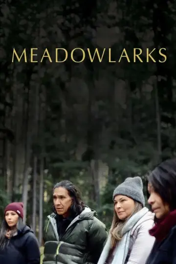 Poster to the movie "We Can