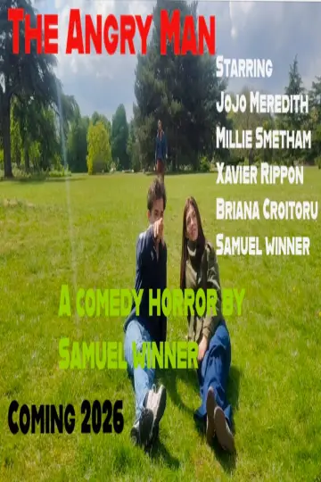 Poster to the movie "The Angry Man" #824646