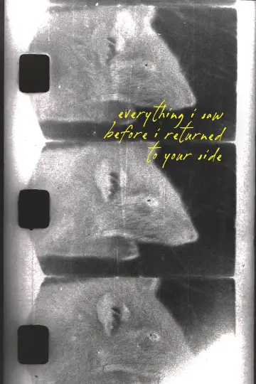 everything i saw before i returned to your side poster