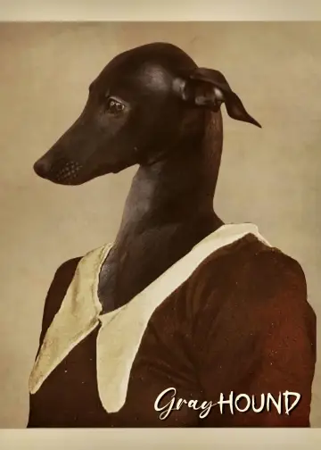 Poster to the movie "Gray Hound" #843137