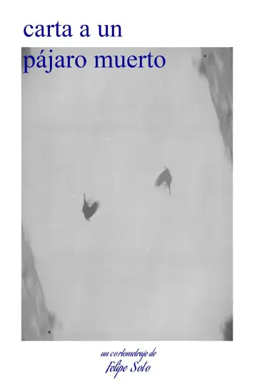 letter to a dead bird poster