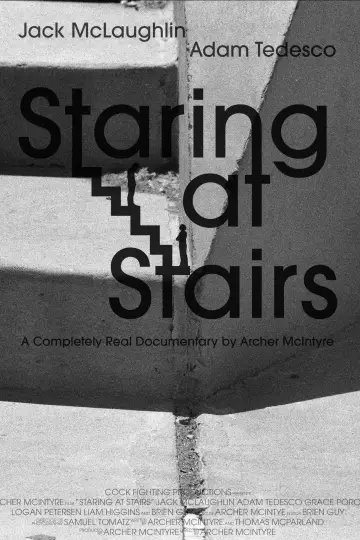 Poster to the movie "Staring at Stairs" #822736
