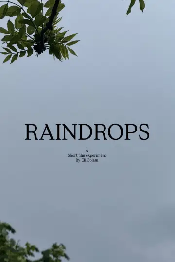 Poster to the movie "raindrops" #931453