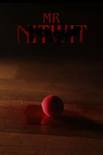 Mr Nitwit poster