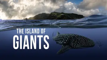Backdrop to the movie "The Island of Giants" #819148