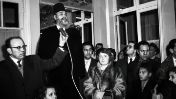Backdrop to the movie "Messali Hadj - A Life In Service To The Algerian People" #964247