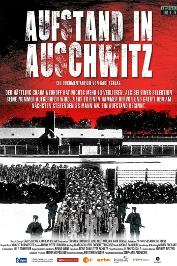 Poster to the movie "Aufstand in Auschwitz" #843558