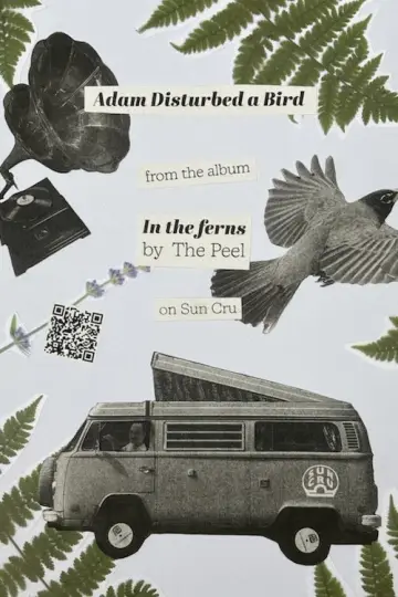 Poster to the movie "Adam Disturbed a Bird" #822783