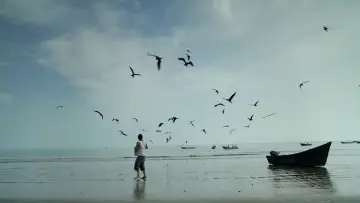 Backdrop to the movie "Pescador" #745582