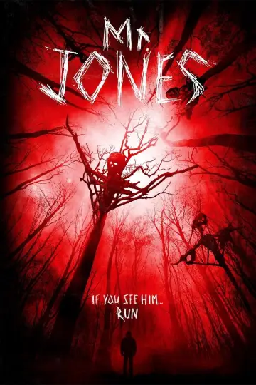 Poster to the movie "Mr. Jones" #704779