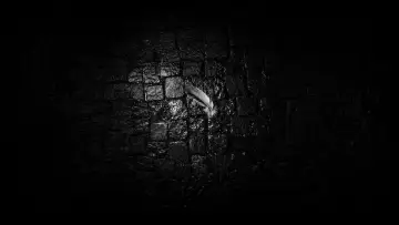Backdrop to the movie "Darkface Files" #837837