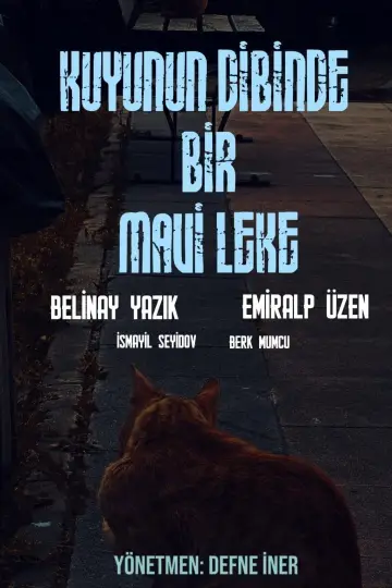 Poster to the movie "Kuyunun Dibinde Bir Mavi Leke" #845734