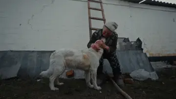 Backdrop to the movie "Rescue" #1647052