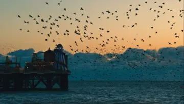 Backdrop to the movie "You Can