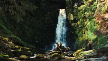 Backdrop to the movie "You Can