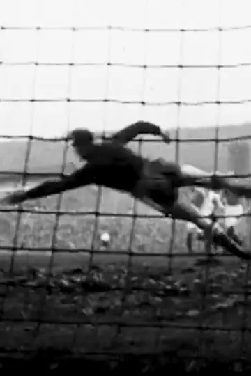 Il mio pallone / la mia vita