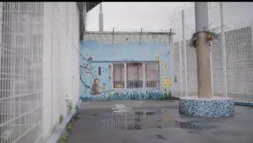 Backdrop to the movie "Maternité sous écrou" #822159