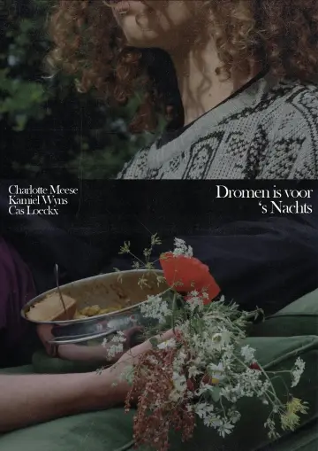 Poster to the movie "Dromen is voor 