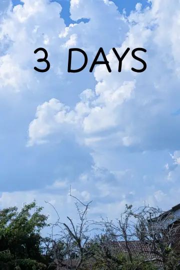 3 DAYS