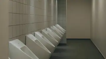 Backdrop to the movie "The Bathroom Visit" #824663