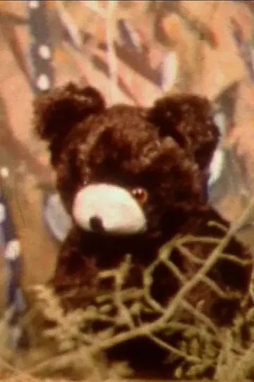Little Bear Story poster