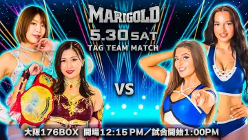 Backdrop to the movie "Marigold Shining Attack 2026 ~ Day 9" #856266