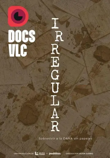 Poster to the movie "Irregular. Sobrevivir a la DANA sin papeles" #823159