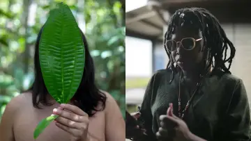 Backdrop to the movie "Guyane, amours taboues" #826630