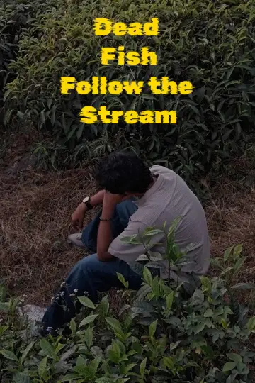 Poster to the movie "Dead Fish Follow the Stream" #922682