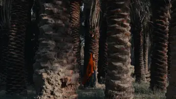 Backdrop to the movie "Ancient Land" #845568