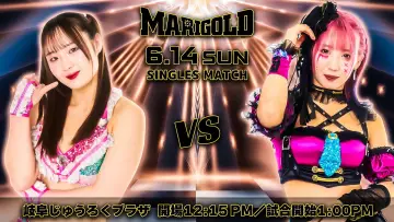 Backdrop to the movie "Marigold Shining Attack 2026 ~ Day 13" #1153623