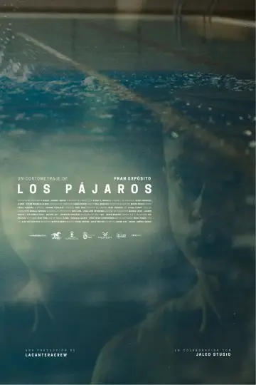 Los pájaros poster
