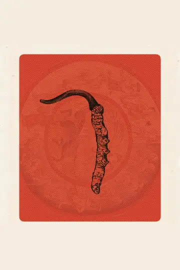 Himalayan Gold poster