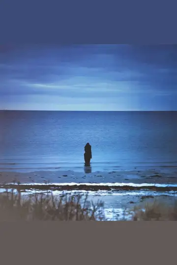 Steven Wilson: Catalogue / Preserve / Amass